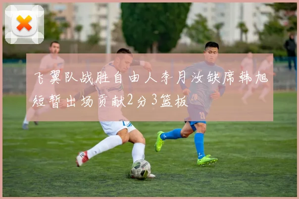 飞翼队战胜自由人李月汝缺席韩旭短暂出场贡献2分3篮板