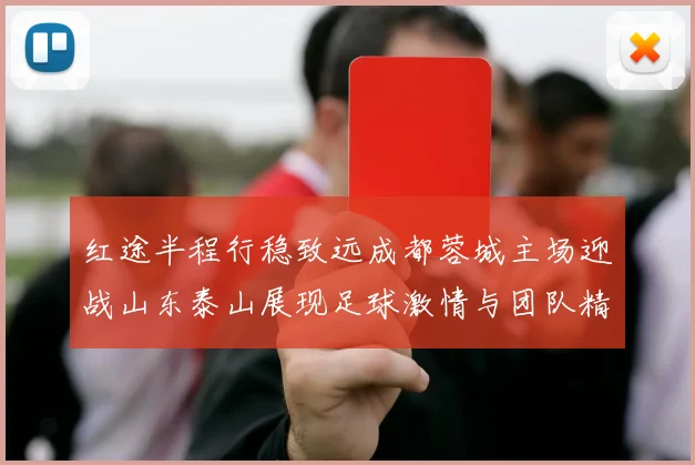 红途半程行稳致远成都蓉城主场迎战山东泰山展现足球激情与团队精神
