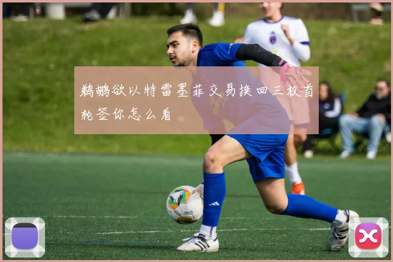 鹈鹕欲以特雷墨菲交易换回三枚首轮签你怎么看
